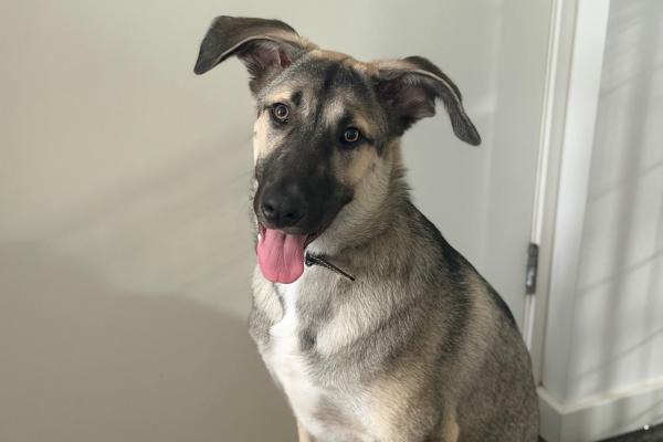 Milo