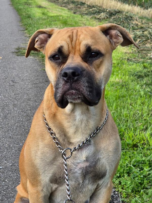 Hooch