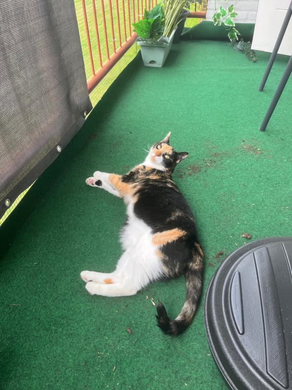 Sophie