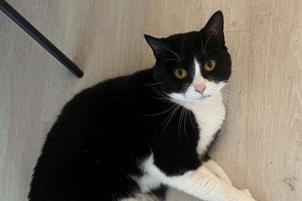 Luna