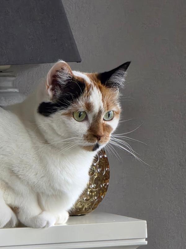 Anouk