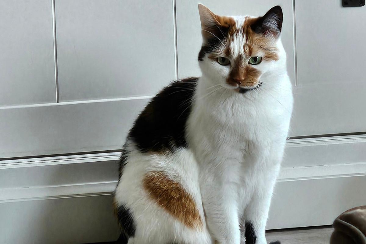Anouk