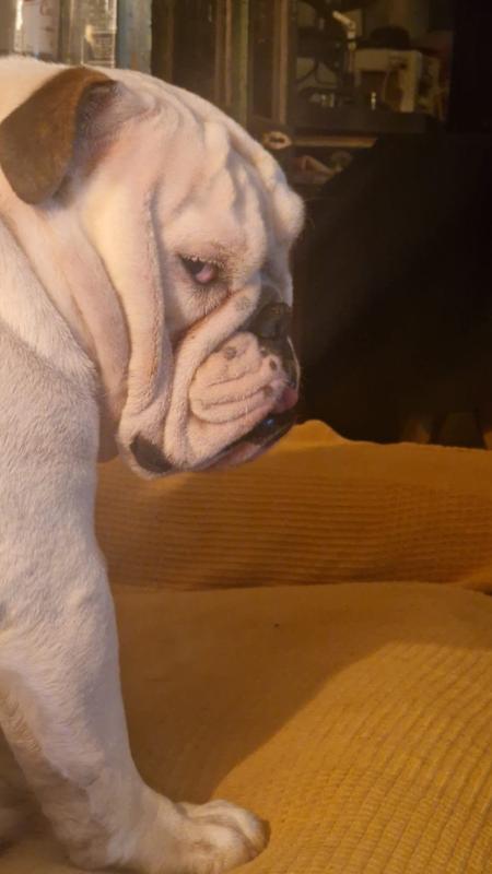 Betty