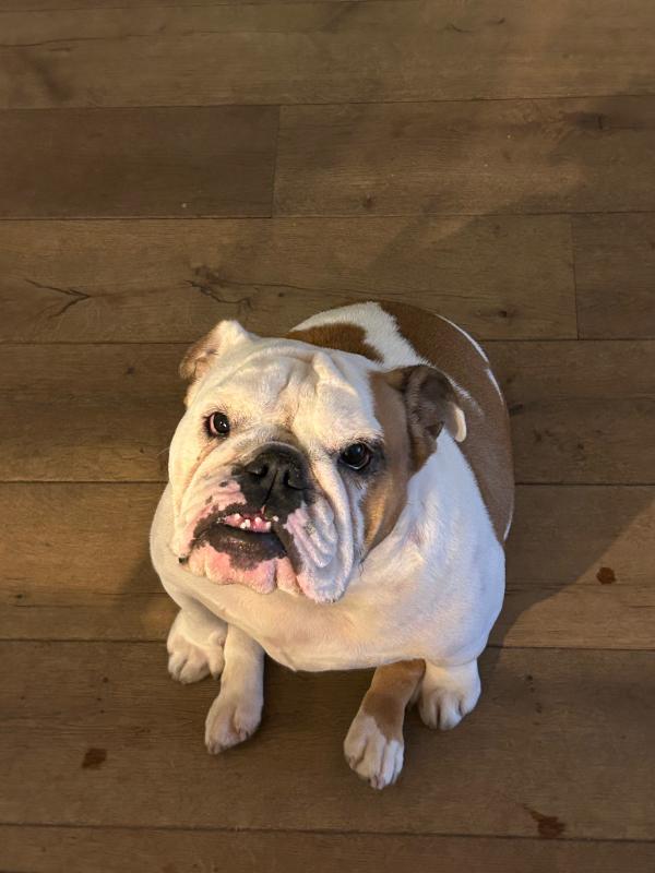Betty
