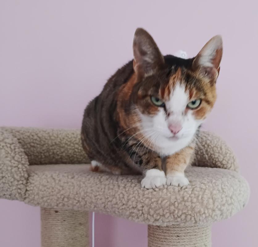 Luna