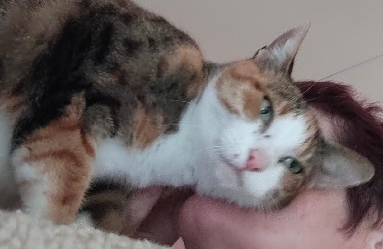 Luna