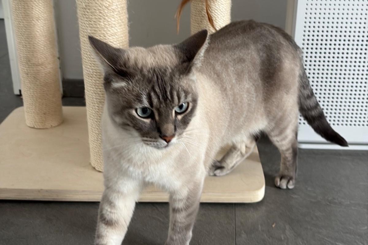 Mimi