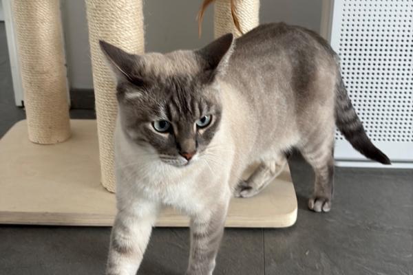 Mimi