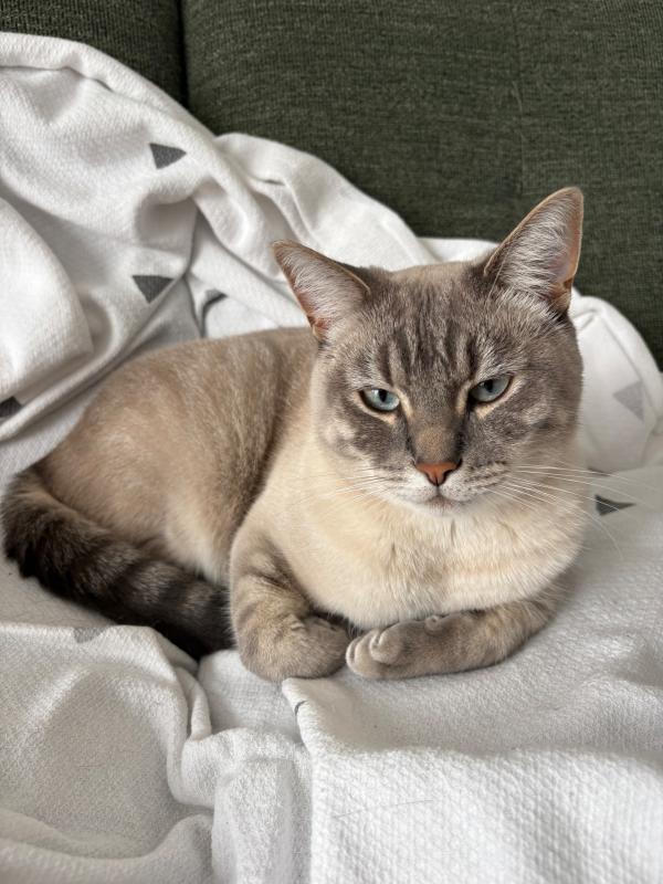 Mimi