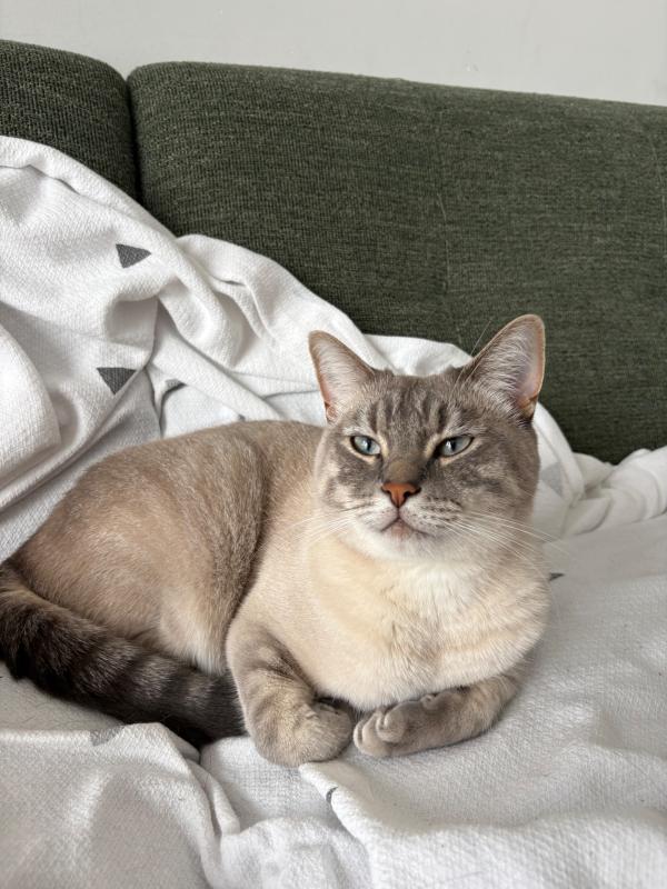 Mimi