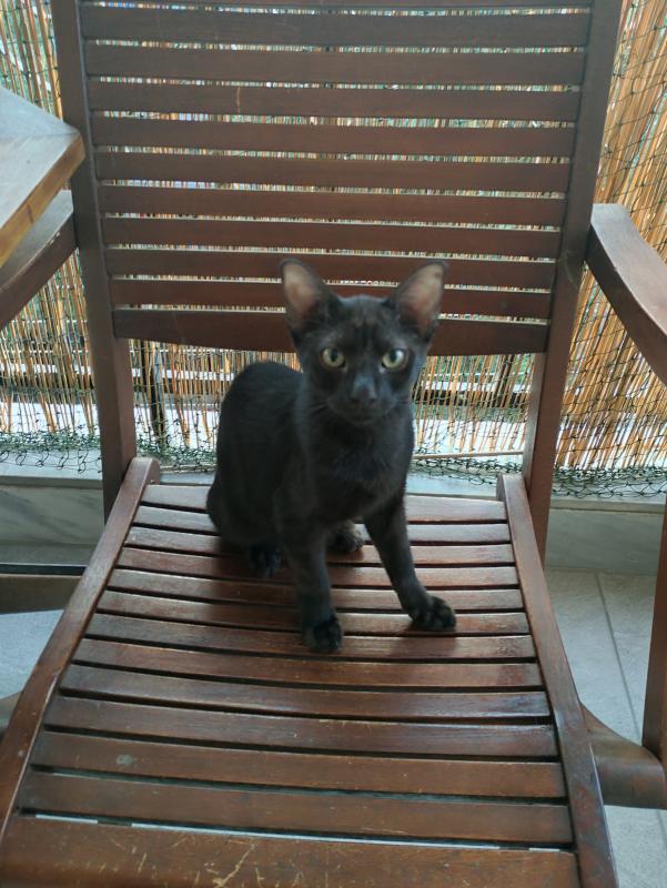 Lucy
