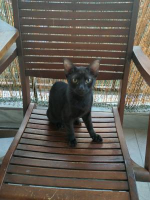 Lucy