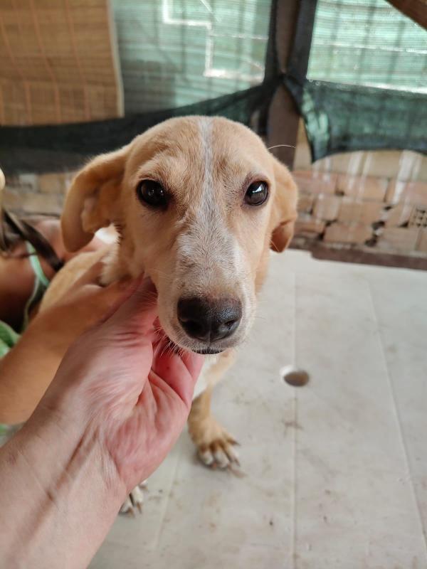 Juanita