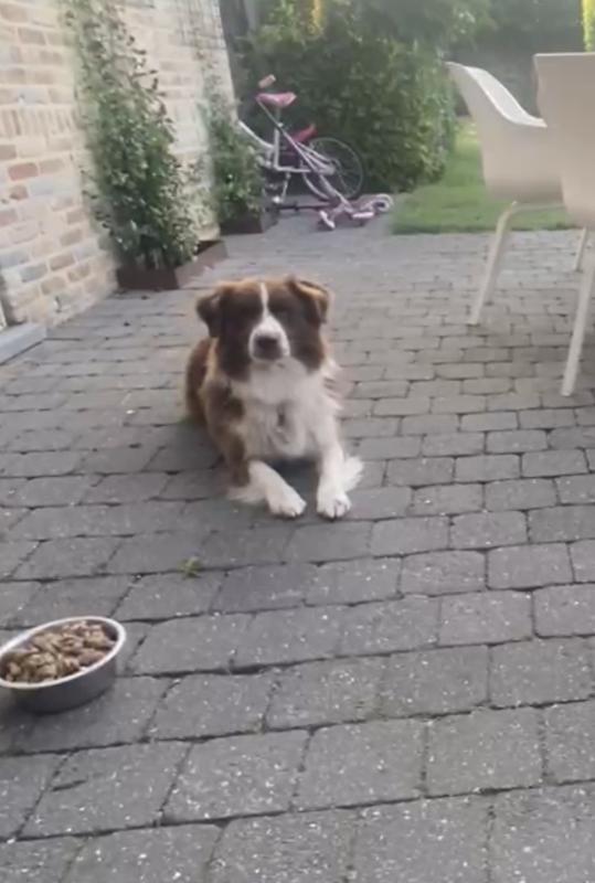Radja