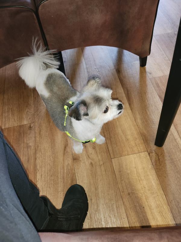 Bella