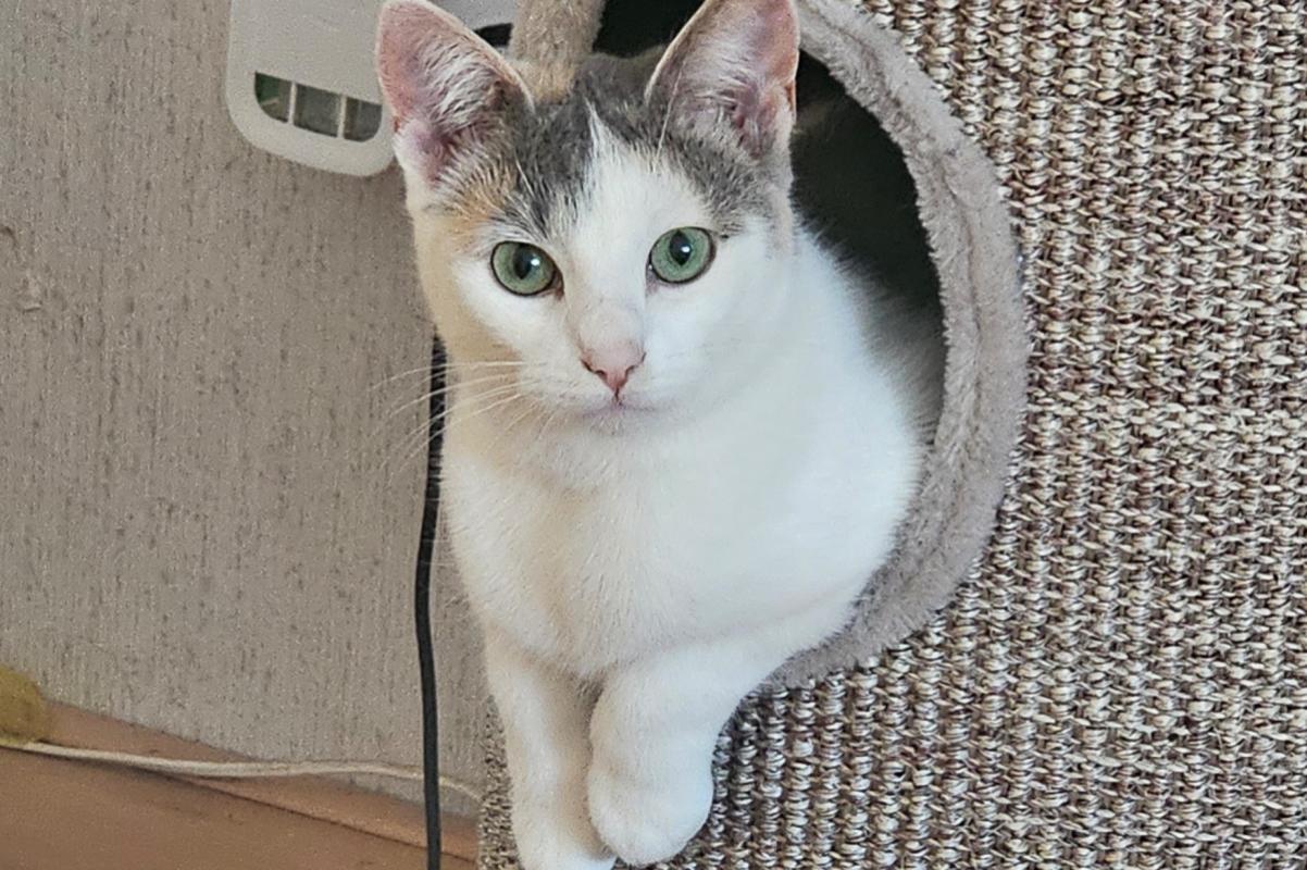 Momo (Mootje)