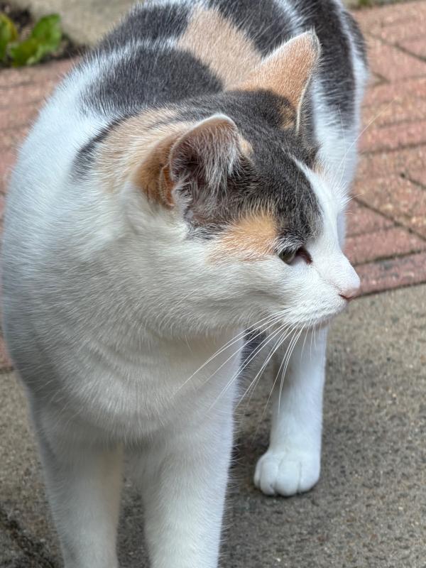 Momo (Mootje)
