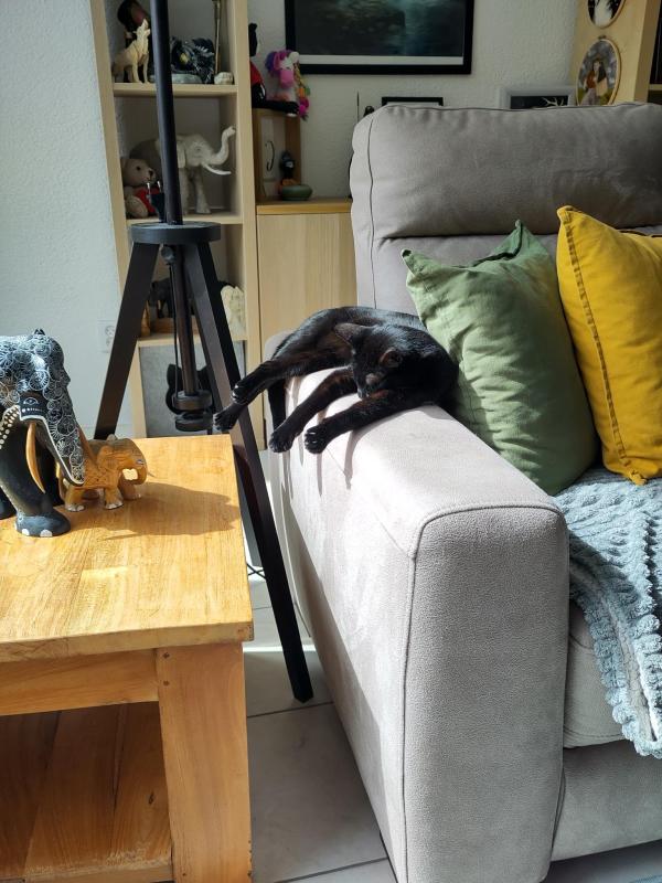 Nala
