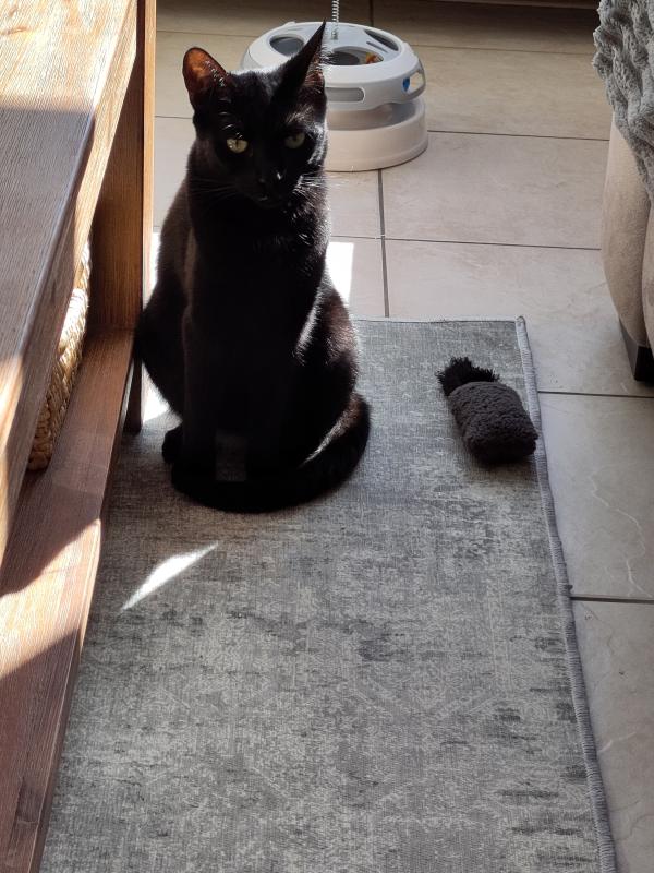 Nala