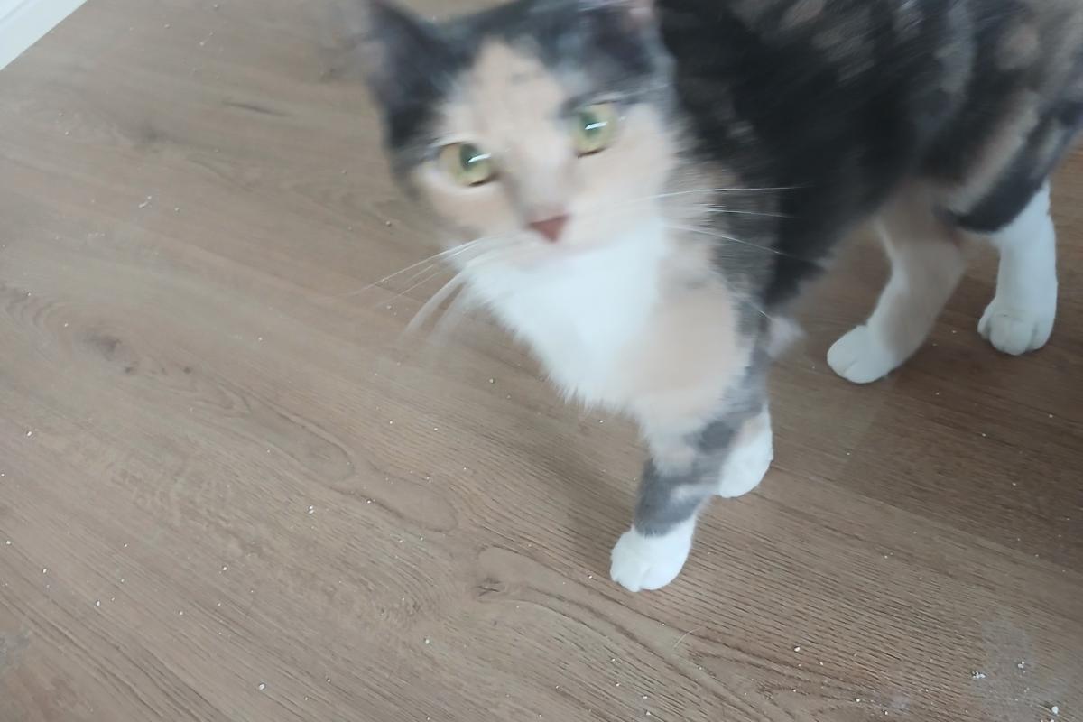 Luna