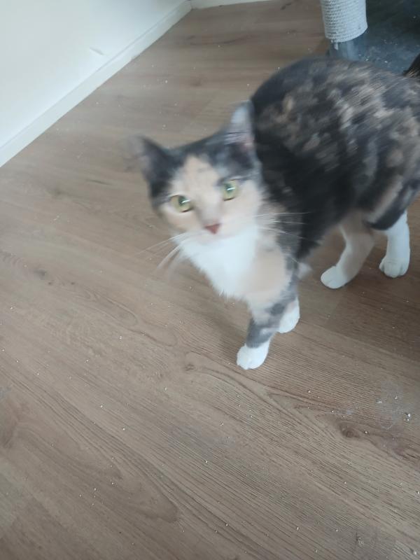 Luna