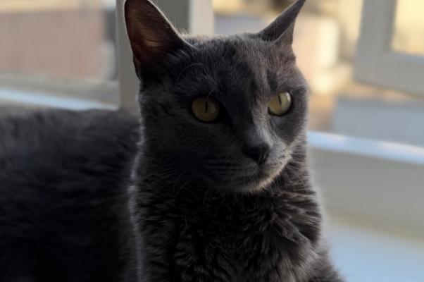Carla