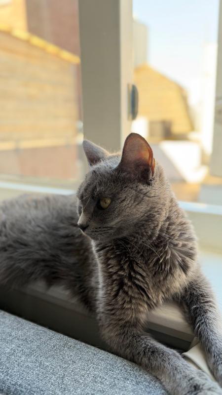 Carla