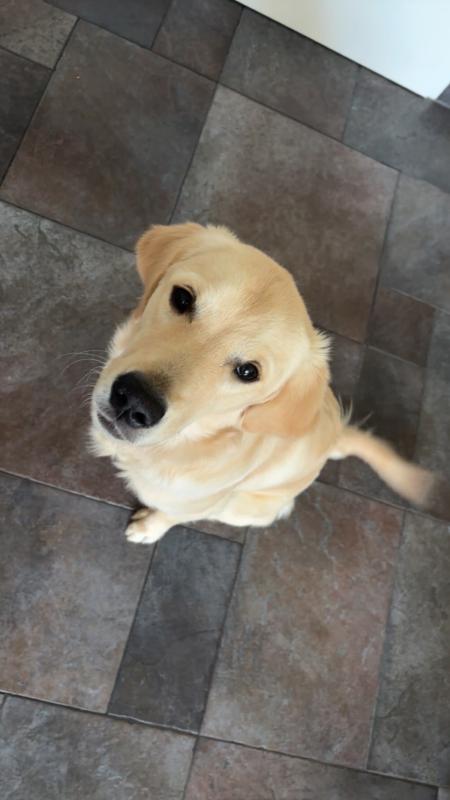 Whisky