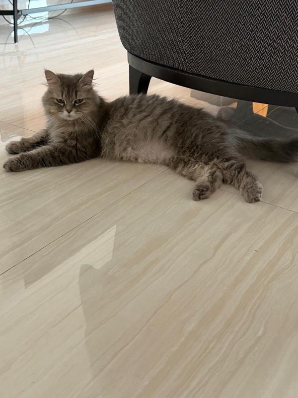 Mila
