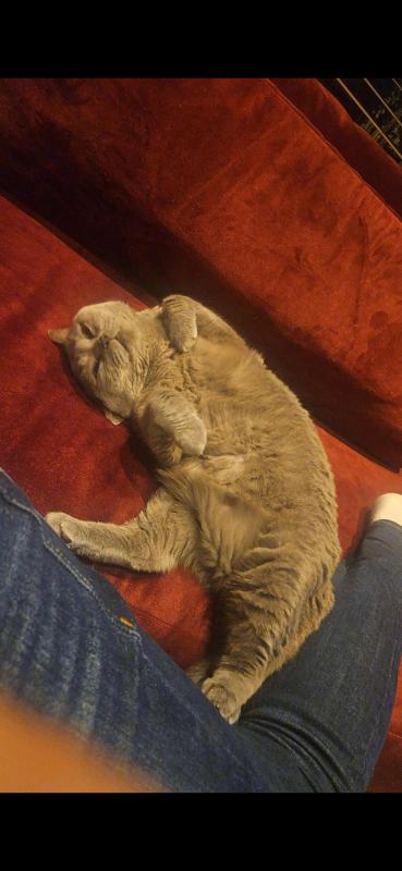 Russel
