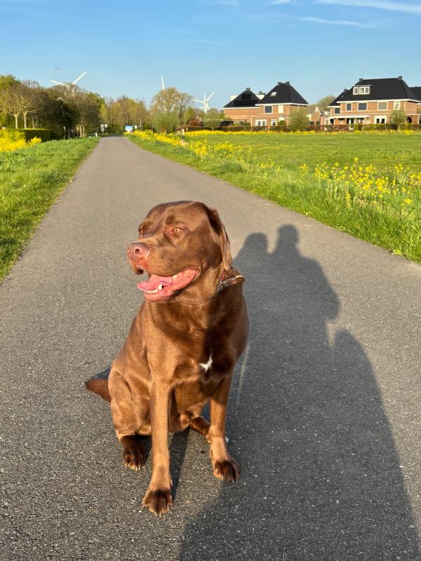 Marley