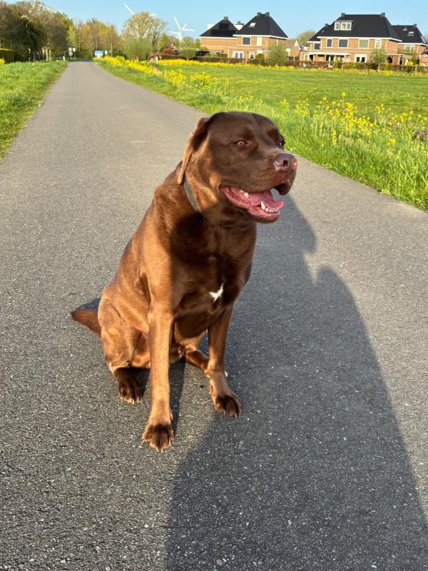 Marley