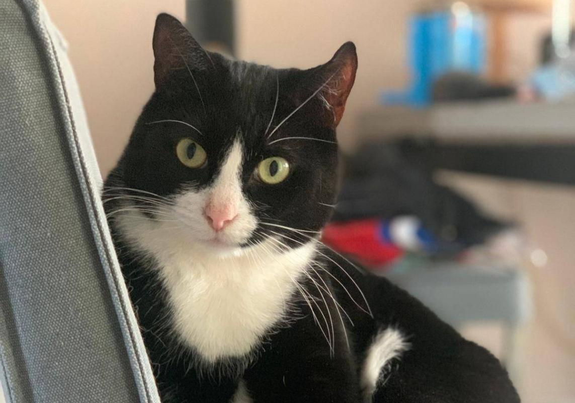 Pip