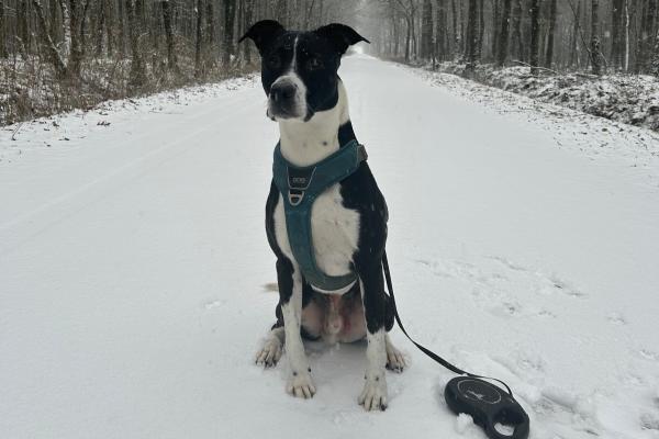 Max