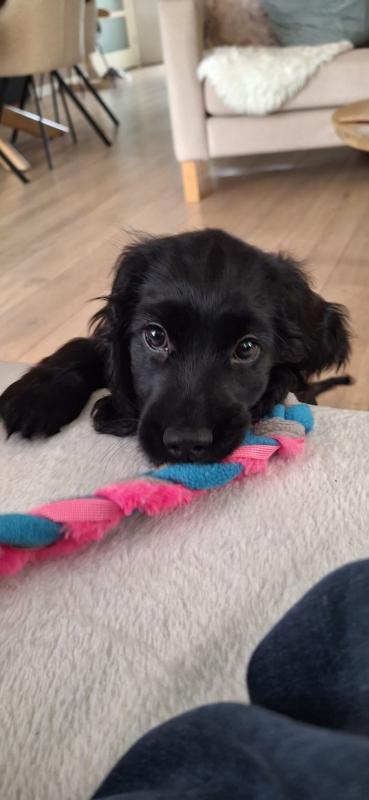 Molly