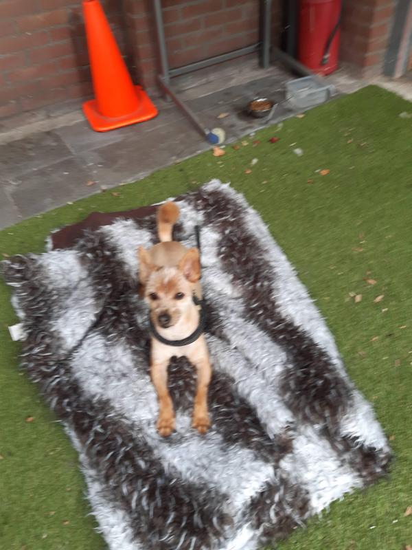 Bobby