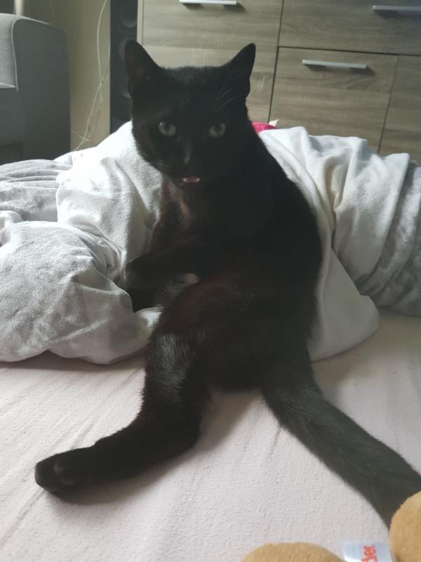 Prince