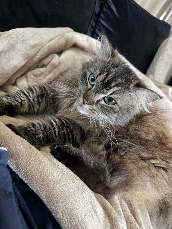Bella