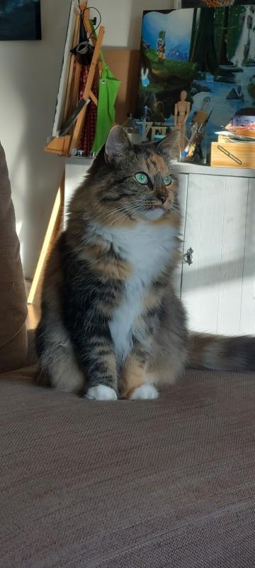 Sammy