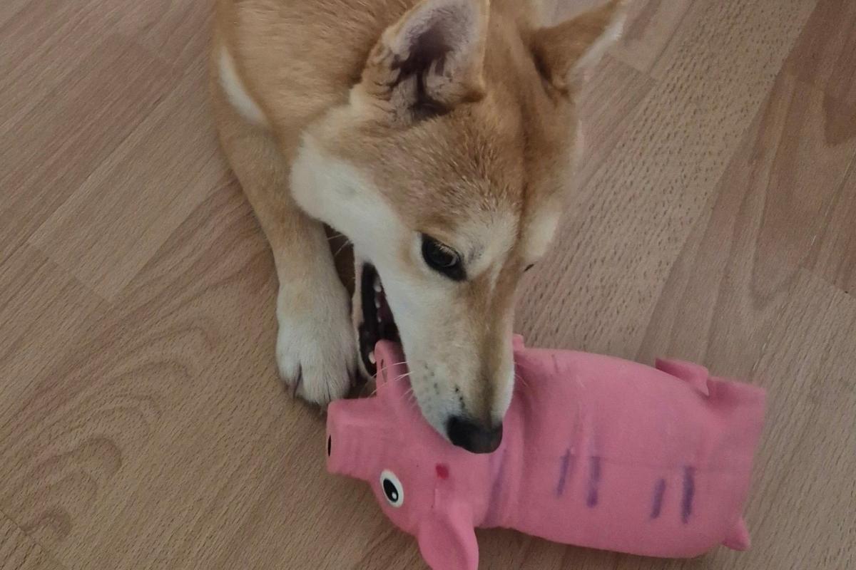 Yuuki