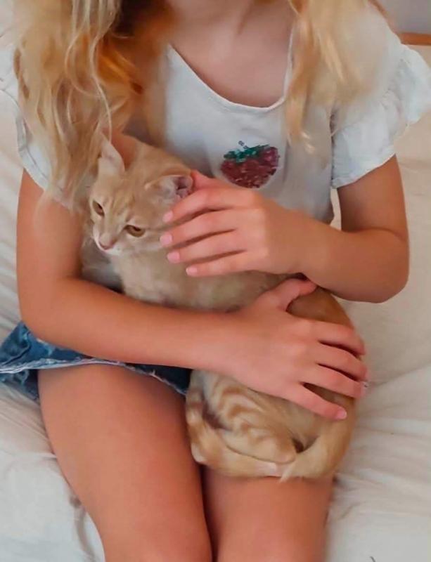 Quinn