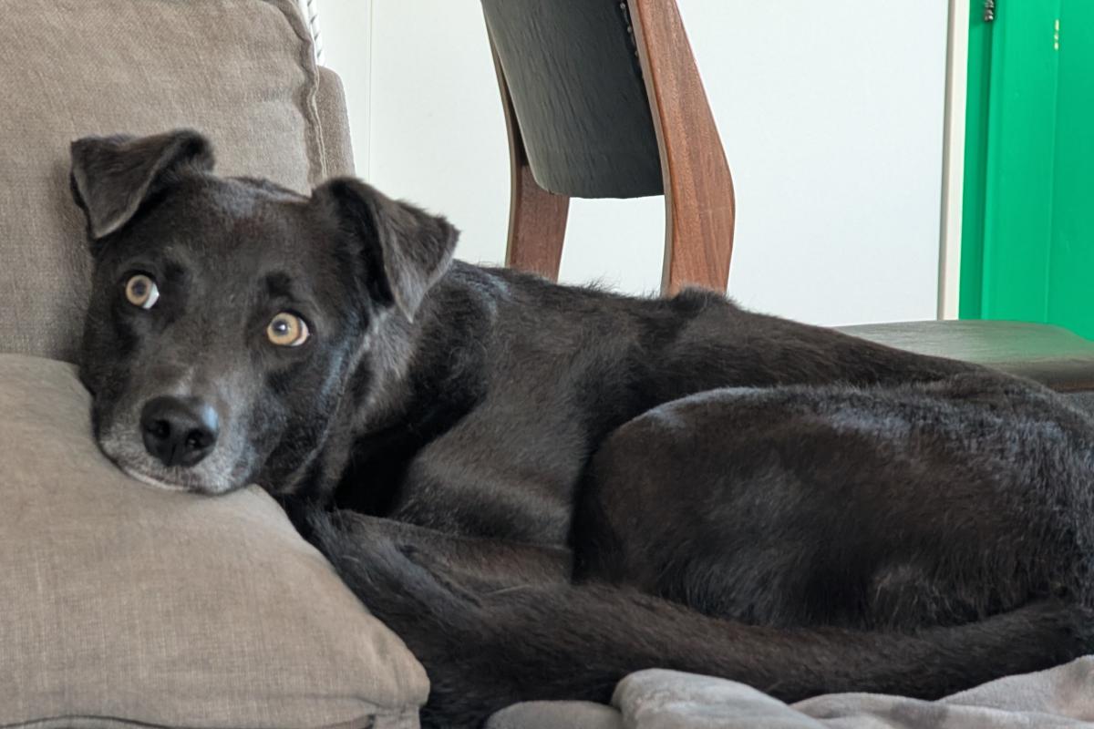 Maggie