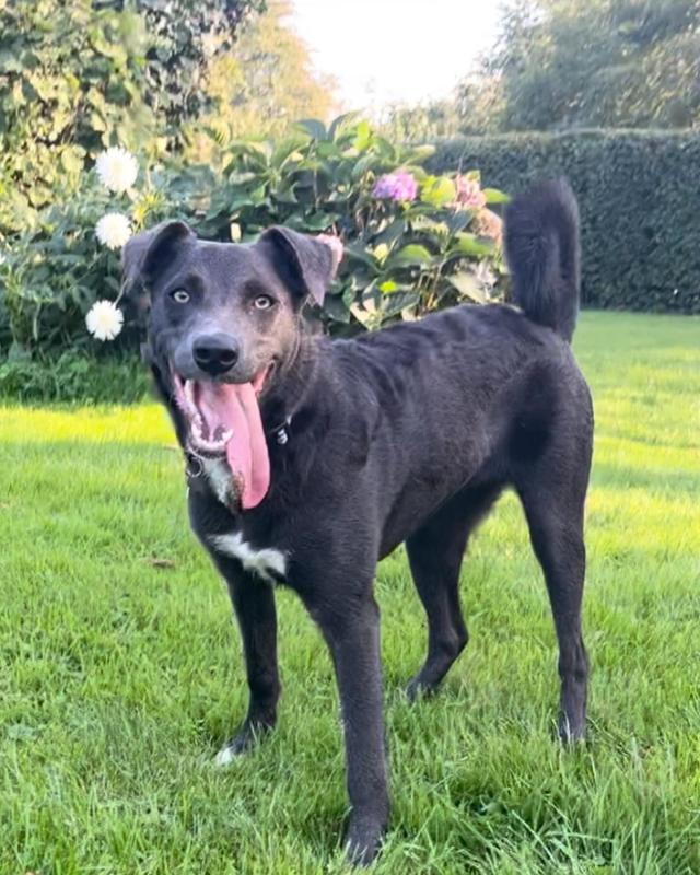 Maggie