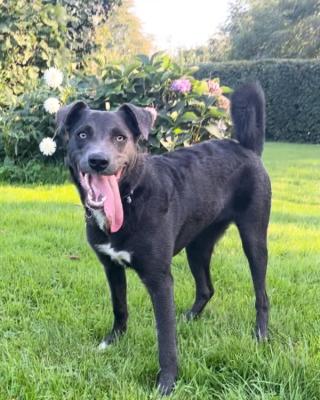 Maggie