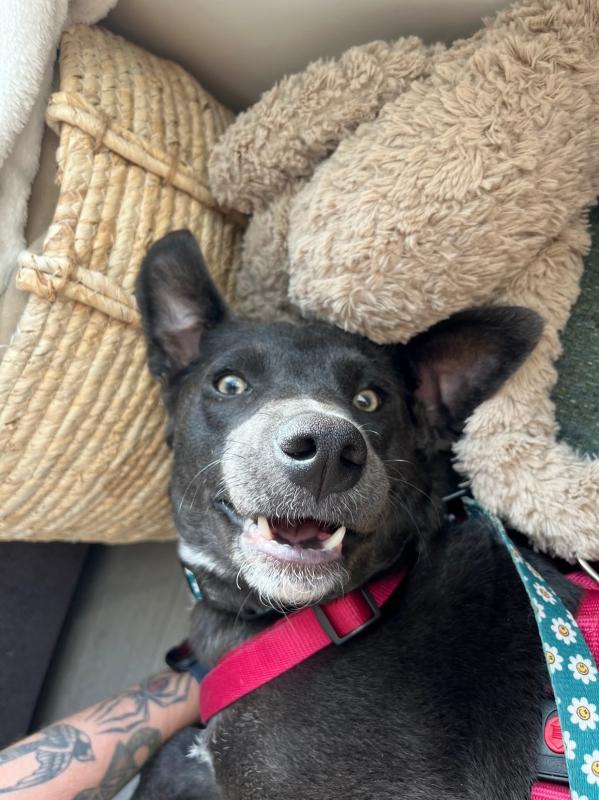 Maggie