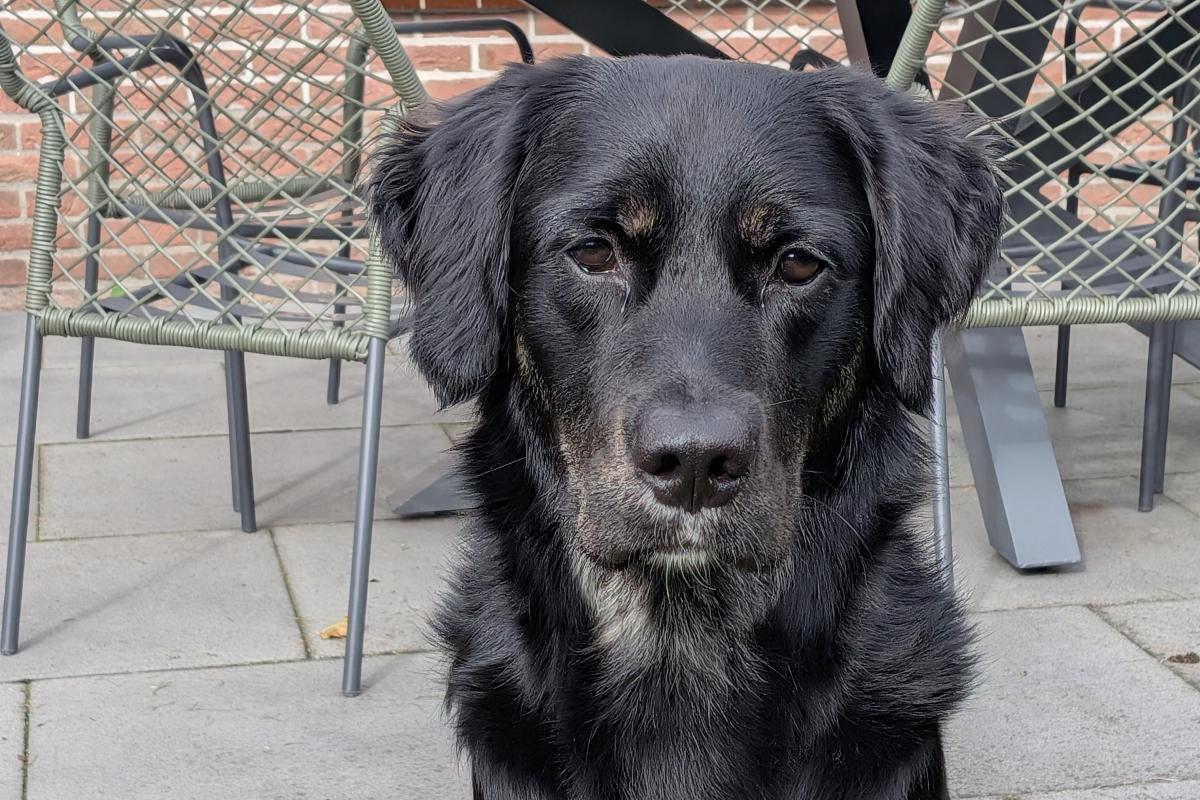 Max