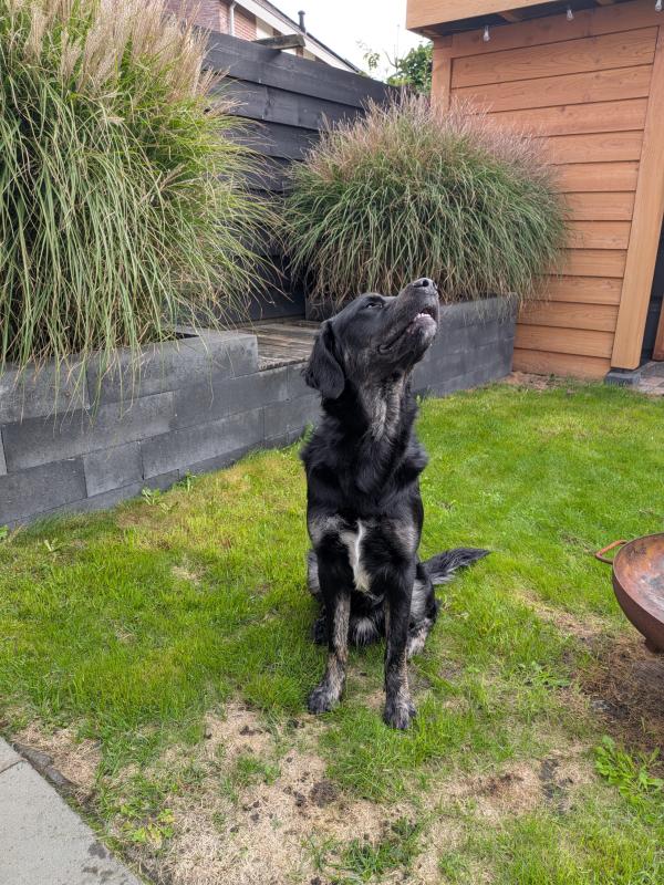Max