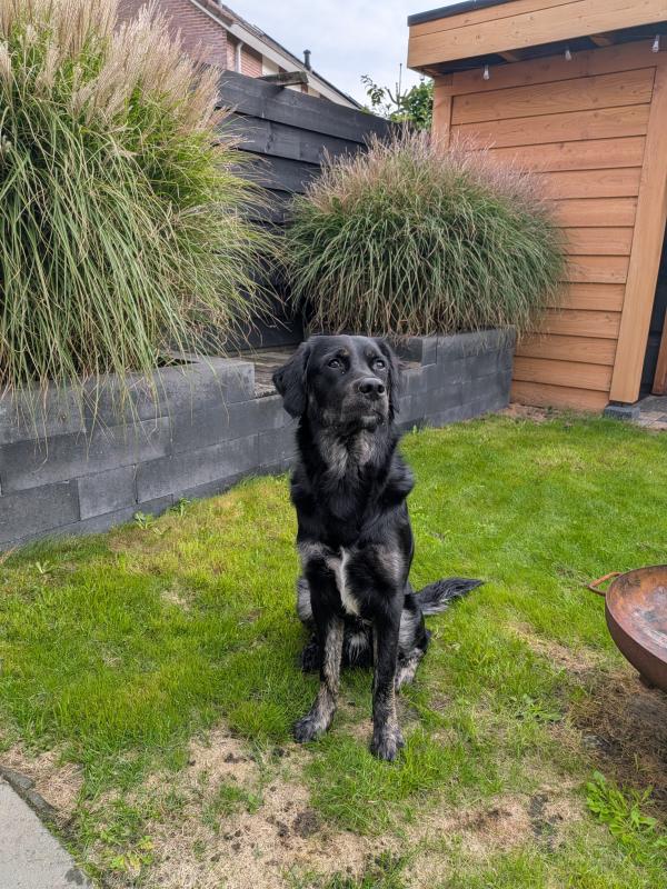 Max