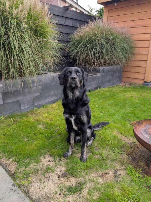 Max
