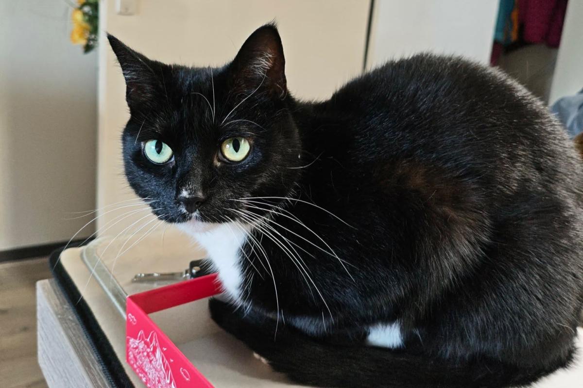 Binky